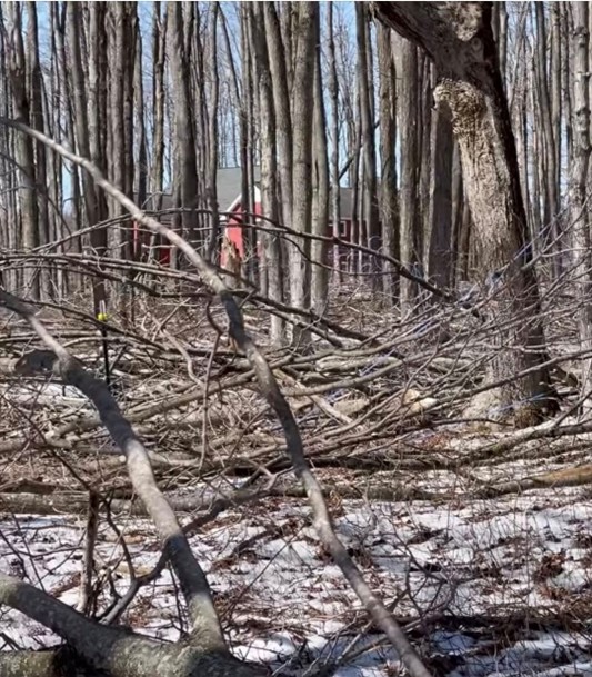 For decorative purposes.